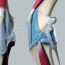 계양동물병원 이미지