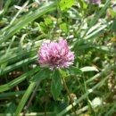 봉명목장 이미지