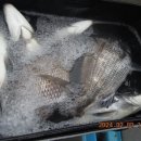 대구대물피싱 이미지