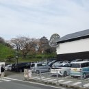 신흥로 은행나무테마거리 | ​[규슈 여행] 구마모토성과 호텔 세키아 방문 후기