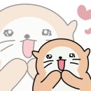 중앙무용학원 이미지