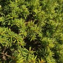 더존스터디학원 이미지