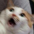 하늘하우스 이미지