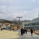 롯데애견 이미지