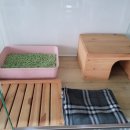 서울고양이분양 묘연 이미지