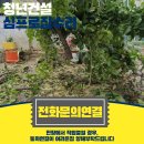 주택 담장 앞 이미지