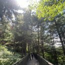 호암2약수터 이미지