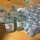 영관농장 | 8월 넷째주의 나🧸