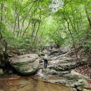 양산 千聖山 소매골 탐구 산행 이미지