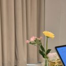 [결혼준비] 제이미브라이드에서 2부 드레스만 재가봉한 유일무이한 신부 (4벌, 본식 당일 후기 포함)