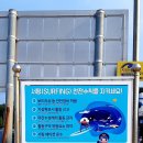 대진해변 이미지