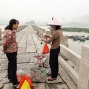 생물학과 접목된 - 낙양교(洛陽橋)|▶ 중국여행 정보 이미지