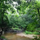 강선산방 | 32Th Camping 곰배령, 방태산 자연휴양림, 원대리 자작나무 숲 (I)