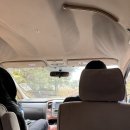 킬리만자로 | 탄자니아 신혼여행 킬리만자로 등반 데이 트래킹 후기