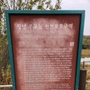 우포늪관광안내소 | 창녕 우포늪 자전거 대여 정보와 대여소 위치, 가격, 후기, 꿀팁 총정리