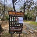 하날 근린공원 네이버블로그