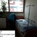 금빛크린 이미지