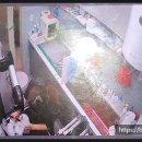 유기화동물의료센터 이미지