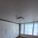 우성동백 이미지