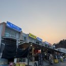 샘약국 | [고성] 가진항 활어 회센터 샘이네 횟집 이시가리