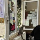 시루민박 이미지