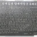 양대박 이미지