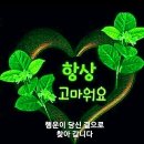 ♡창원 천자봉 불모산 비음산 연계산행 종주 산악회 정기 산행 들머리 대발령 날머리 날개봉 창원 FC축구 장 ^~^♡♡♡ 이미지