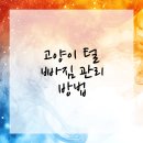 강동동물병원 | 강동구동물병원 고양이 털 빠짐 해결!