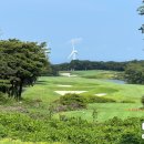 블랙스톤CC | 제주도 골프 조인 가심비 제주 블랙스톤cc 부킹 후기