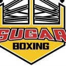 슈가복싱 프리미엄 하계점 이미지