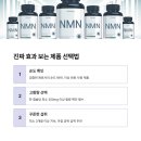 내 몸이 젊어지는 노화방지 스트레칭 | MNM 영양제 추천 치매 노화방지 인기 상품 (젊어지는 비결)