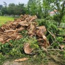 네이처런스(주) 이미지