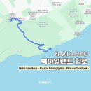 아메리카 RV CAMP PARK | 하와이 빅아일랜드 화산국립공원 킬라우에아 투어 로드트립