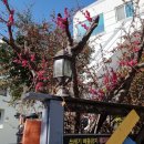 금련산주유소 이미지