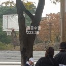 시아 카카오 검색결과
