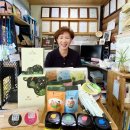 담우 이미지