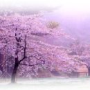 우리옷봄날 이미지