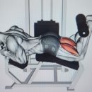 그레이트짐 이미지