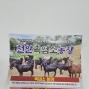 천안건강원