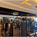 트라이 피트니스 이미지