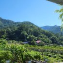 지토농장 이미지