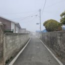 송지면사무소 이미지