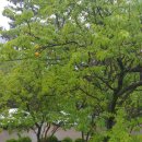 고향의봄도서관 이미지