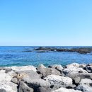 제주야 표선 이미지