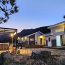 품안애 스테이 이미지