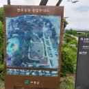 연조공원 | 고령여행, 연조공원 맨발길에서 만나는 보랏빛 향기