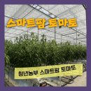 민정욱농장 이미지