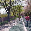 중랑천 제4체육공원 이미지