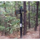 밤골공원 이미지