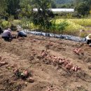 추동농장 이미지